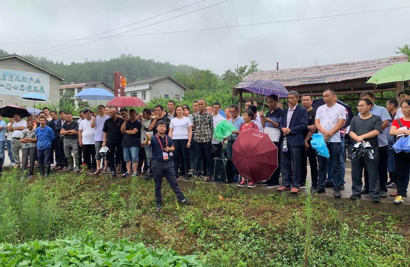 Image title Image title