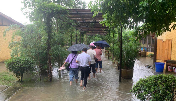 Image title Image title