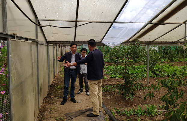 Image title Image title