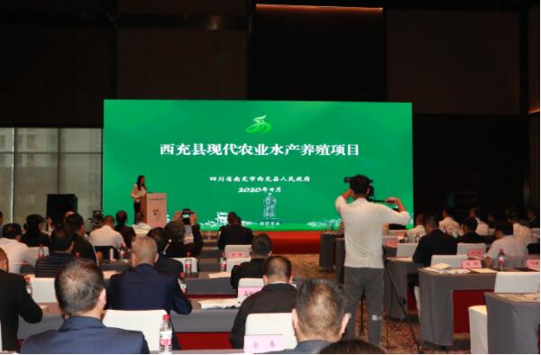 Image title Image title