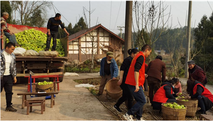 Image title Image title